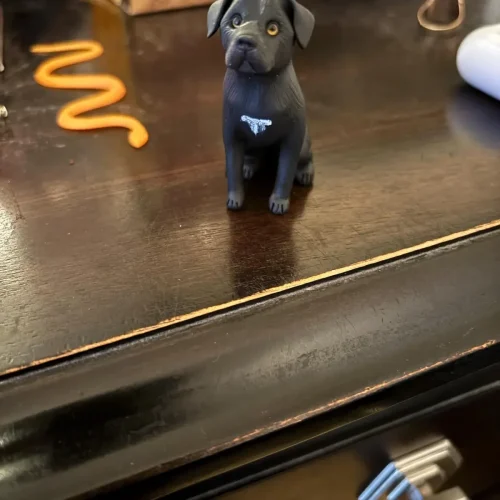 Handmade Soft Ceramic Pet Statue photo review