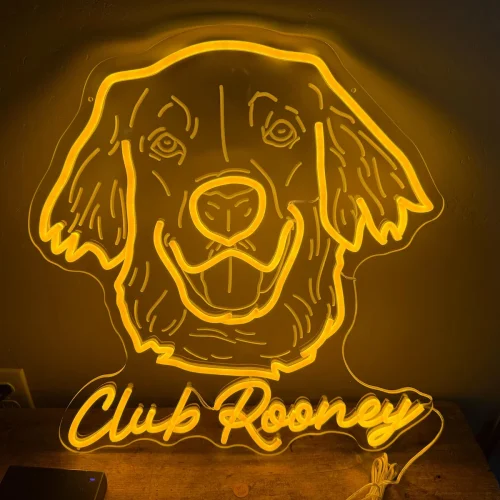 Custom Name LED Neon Sign photo review