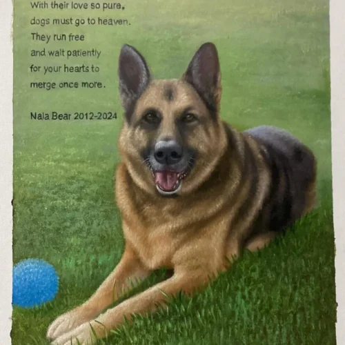 Framed Pet Portrait Wall Art photo review