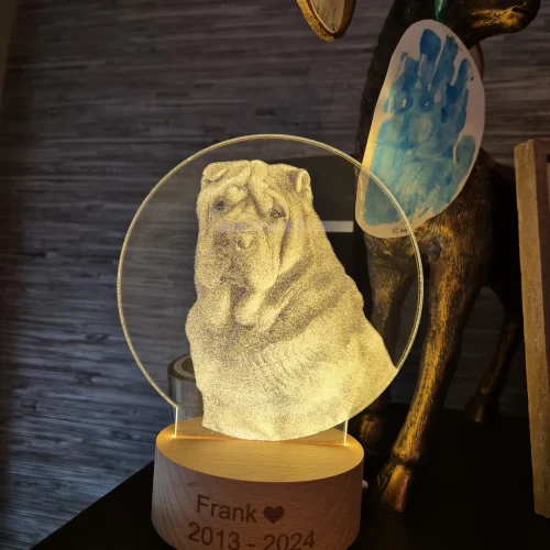 Custom Acrylic 3D LED Lamp photo review