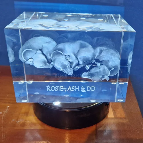 3D Tower Memorial Photo Crystal photo review