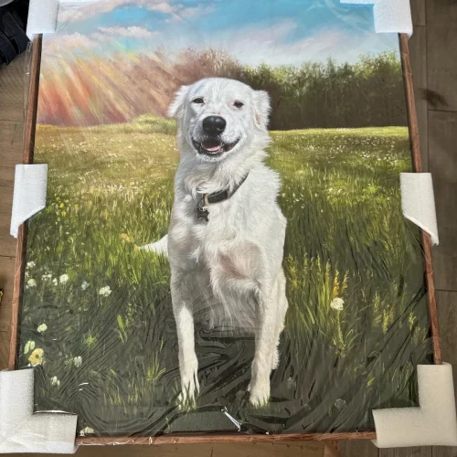 Framed Pet Portrait Wall Art photo review