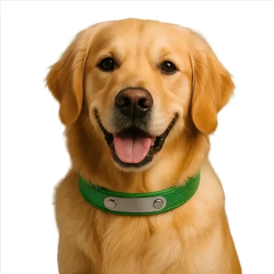 Free Green ID Collar