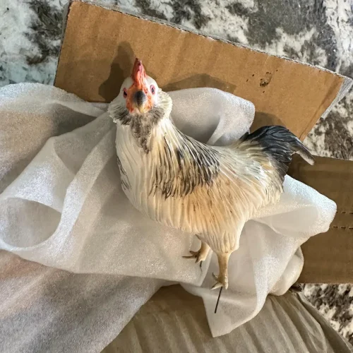 Handmade Soft Ceramic Pet Statue photo review