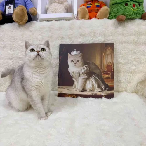 Unframed Pet Portrait Wall Art photo review