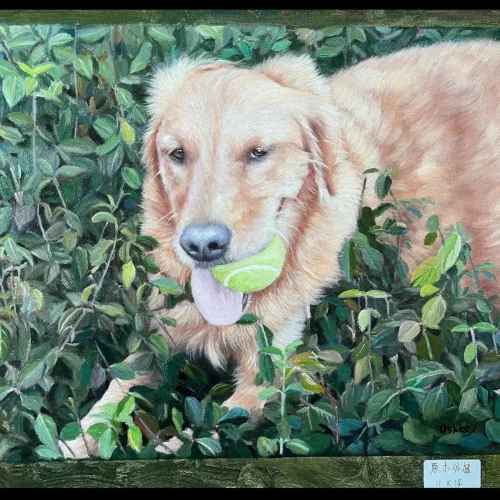 Framed Pet Portrait Wall Art photo review