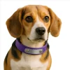 Free Purple ID Collar