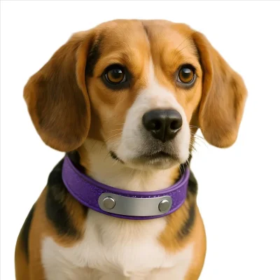 Free Purple ID Collar