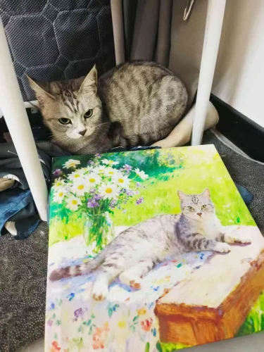 Unframed Pet Portrait Wall Art photo review