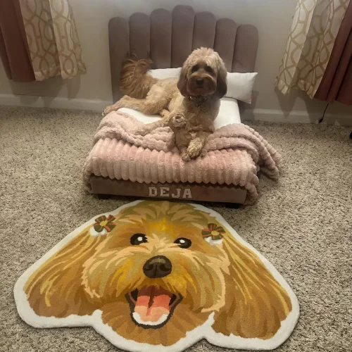 Custom Free-Shape Pet Rug – Any Shape, Any Design, Any Photo photo review