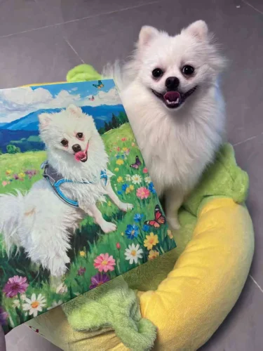 Unframed Pet Portrait Wall Art photo review