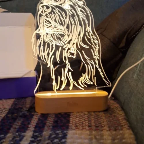 Custom Acrylic 3D LED Lamp photo review