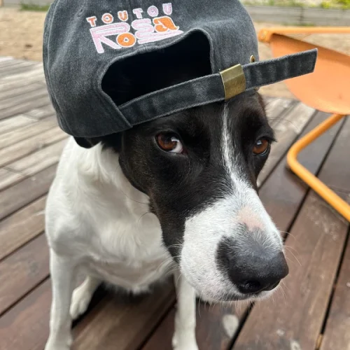 Custom Text Baseball Cap photo review