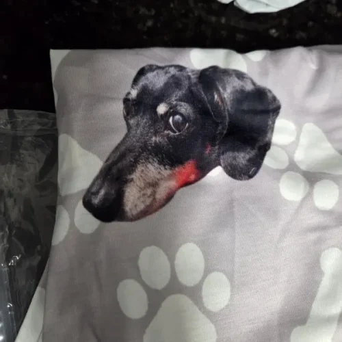 Personalized Pet Photo Pajama Pants photo review