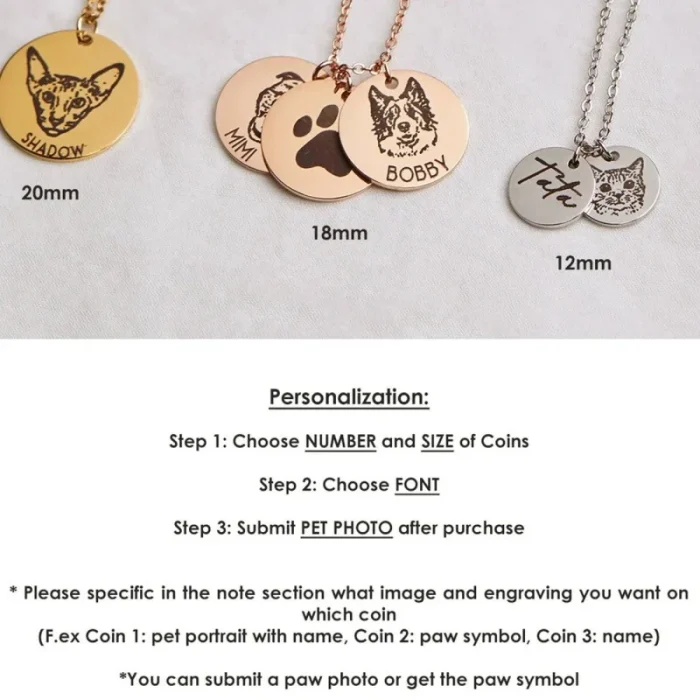 微信图片_20251117232116_58_230 Pet Portrait Disc Necklace
