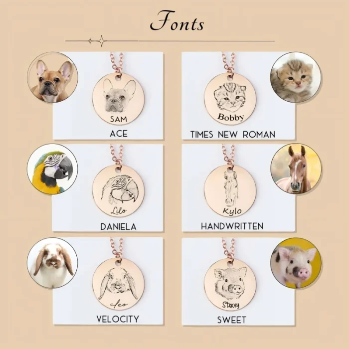 微信图片_20251117232211_61_230 Pet Portrait Disc Necklace