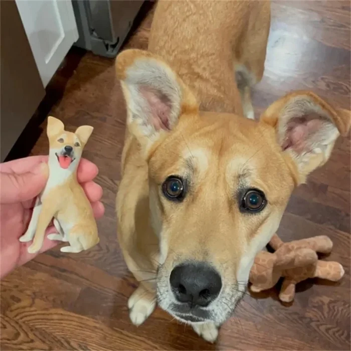 微信图片_20251121024918_183_230 Handmade Soft Ceramic Pet Statue