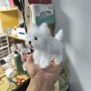 Handmade Furry Pet Statue