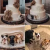 微信图片_20251121030346_189_230 Handmade Soft Ceramic Pet Statue