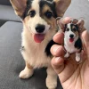Custom Pet Keychain