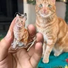 Custom Pet Keychain