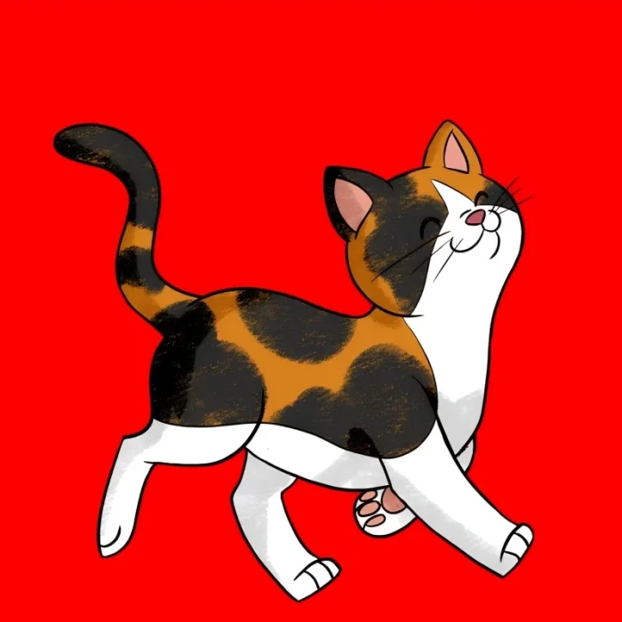 NFT – Free With Your Custom Order