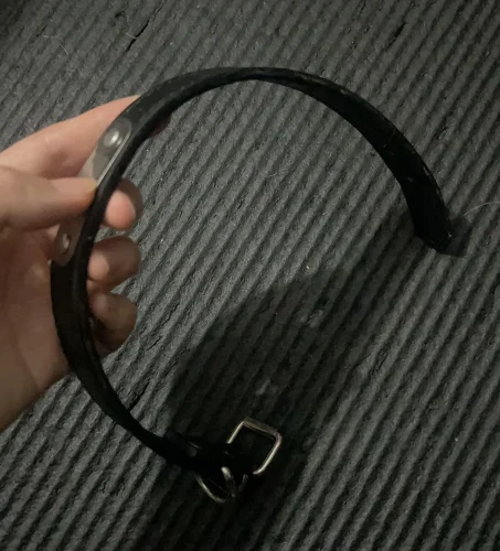 Free Blue ID Collar photo review